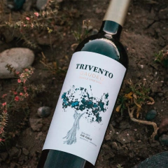 Trivento Guadeo Malbec x6