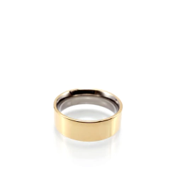 PAR DE ALIANÇAS 6MM RETA ENCAPADA OURO