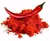 PAPRICA PICANTE 50g
