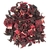 HIBISCO FLOR