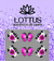 Flor Rosa com Branco e Borboleta Rosa - comprar online