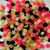 1g- Rosinha 3D Mix - comprar online