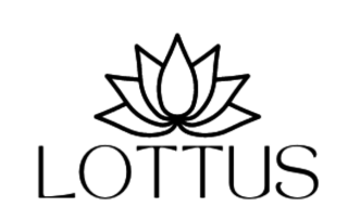 Lottus Adesivos