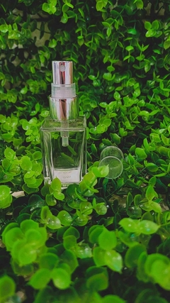 MINI HOME SPRAY