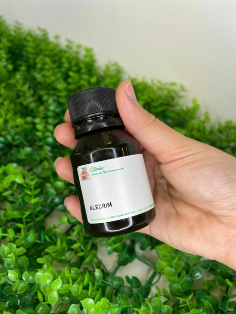 Refil Alecrim - comprar online