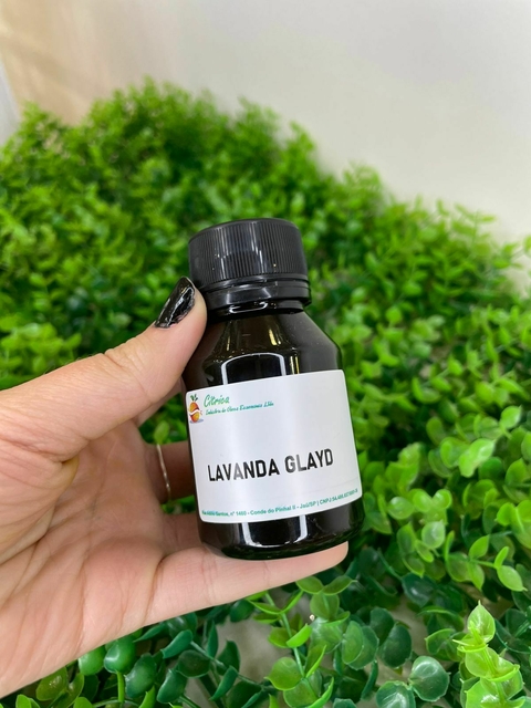 Lavanda Gleyd - comprar online