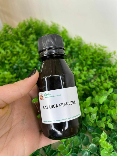 Lavanda Francesa - comprar online