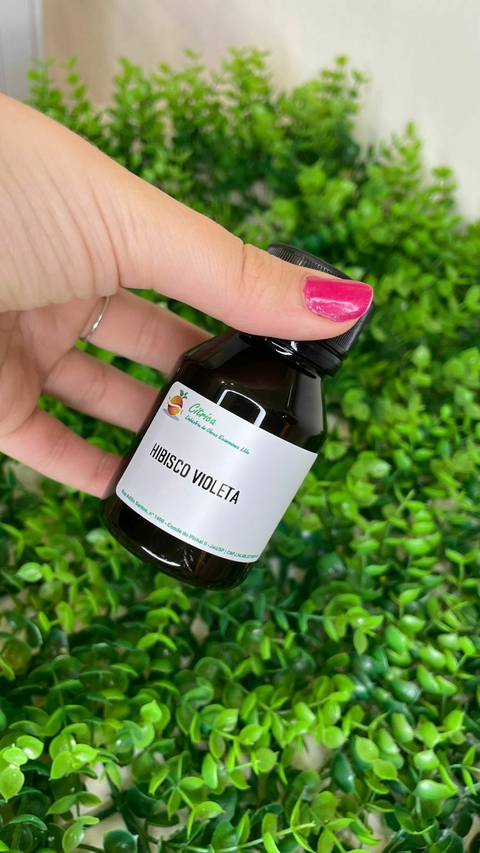 Hibisco Violeta - comprar online