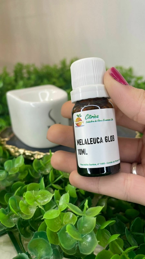 Òleo Essencial Malaleuca - comprar online