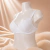 Sutiã Plus Size Costa Nua Renda com Bojo e Alças Removíveis + Alças de Silicone na internet