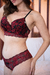 Conjunto Valentina Cropped Renda Preta borada em Vermelho - Daap Store