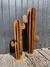 Cactus de hierro