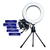 Ring Light 6 Polegadas Tripe com Suporte Celular 16cm na internet