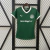 CAMISA PALMEIRAS HOME 2025/26 FEMININA - comprar online