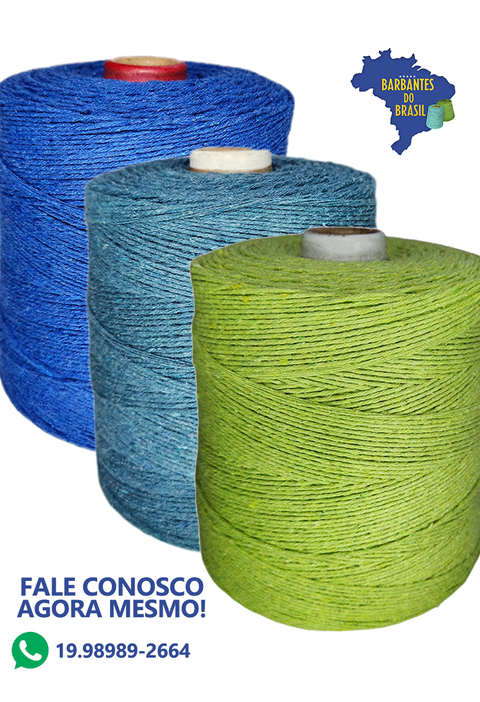 Carrossel 1