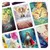dixit disney juego de mesa - tienda online