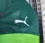 Camisa Palmeiras I 23/24 Puma - Verde na internet