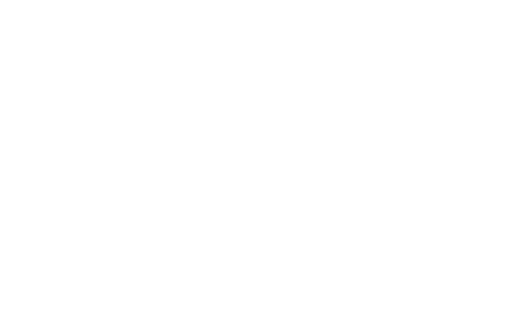 ThisNenet
