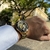Imagem do Vencedor Mecânico Sport Design Bezel Relógio Dourado Relógios Masculinos Top