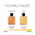 Eudora Pulse Action Desodorante Colônia 100ml - loja online