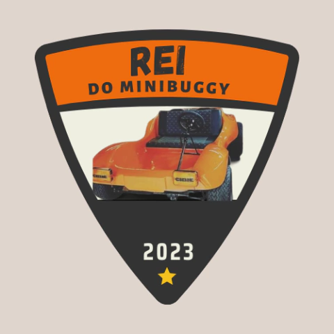 Rei do Minibuggy