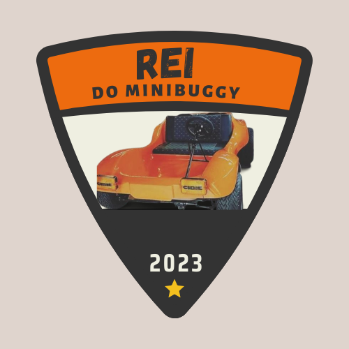 Rei do Minibuggy