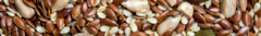 Banner da categoria Sementes