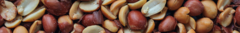 Banner da categoria Amendoins