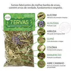 7 Ervas Mix de Limpeza e Proteção Espiritual 25g - comprar online