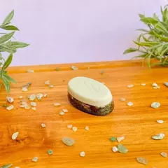 Orgonite - Orgo Save Plant - Fertilizante e Estabilizador Energético - Jardim Feliz