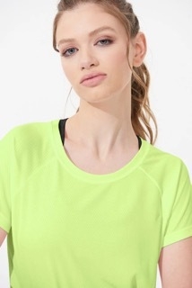 REMERA en internet