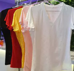 REMERA BRODERIE MANGAS VOLADOS en internet