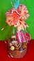 CESTA PEQUENA C/NUTELLA - comprar online