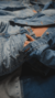 Banner de Thelma