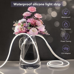 Tira Led Neon 5mts Flexible Colores - iLion Store