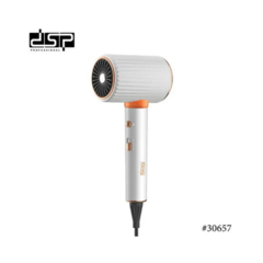 Secador de Pelo Profesional 6000W - iLion Store