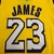 REGATA LAKERS - LEBRON JAMES - comprar online
