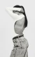 Body Celine Off na internet