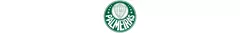 Banner da categoria Palmeiras