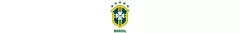 Banner da categoria Brasil