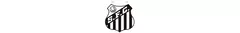 Banner da categoria Santos