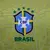 Camisa Brasil - Home 2024/2025 Jogador na internet