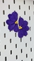 Flora media flor morada - Casta.marca