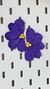 Flora media flor morada en internet