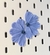 Flora media flor celeste translúcido en internet