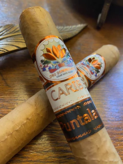 Robusto Oro Dominicano en internet