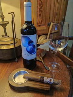 CAELUM. Malbec 2022. - comprar online