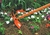 Sacho Duas Pontas Tramontina Em Aço Com Cabo De Madeira 60cm (Produto Nacional) na internet