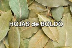 HIERBA HOJAS de BOLDO - comprar online