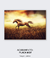 Quadro Decorativo Cavalo no Campo de Trigo - comprar online